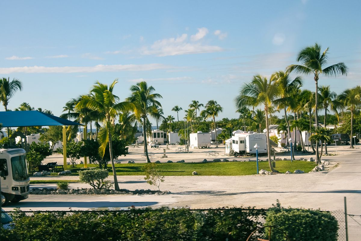 Rows of motorhomes and travel trailers parked among palm trees at a large RV resort